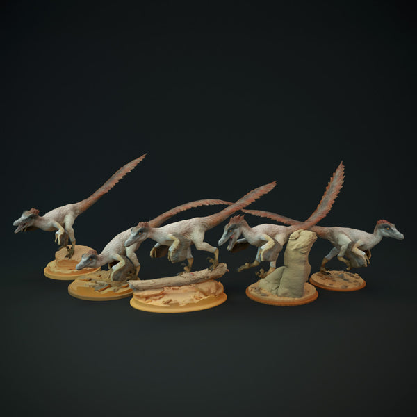 Velociraptor pack 1/20 scale - dinosaur - Only-Games