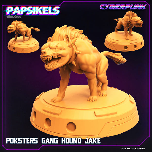 POKSTERS GANG  HOUND JAKE - Only-Games