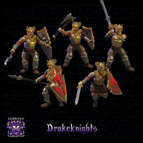 Drakeknights (Modular) - Only-Games