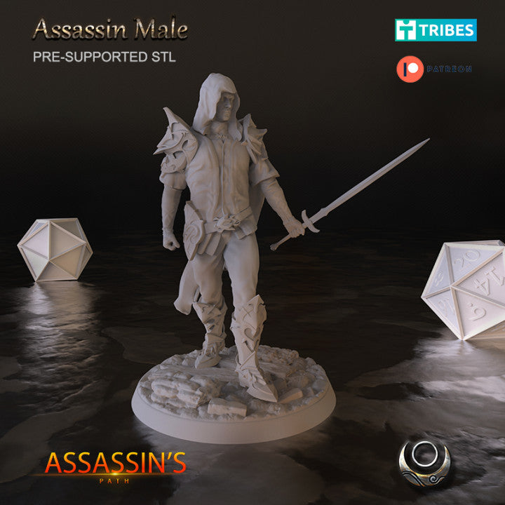 Assassin Male - Only-Games