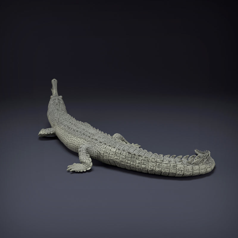 Gharial - Only-Games