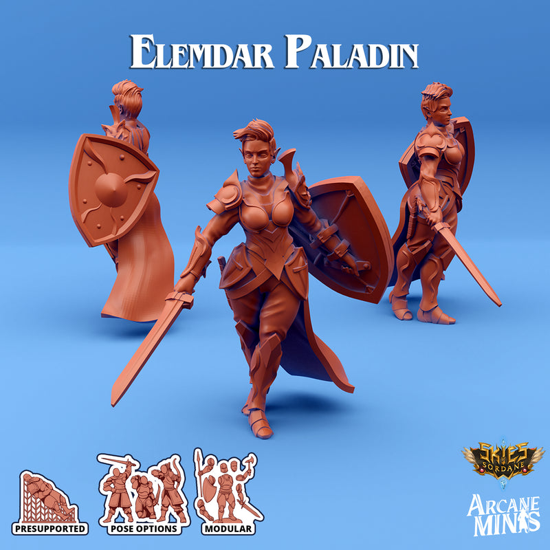 Elemdar Paladin - Pose 1 - Arrodan Syndicate - Only-Games