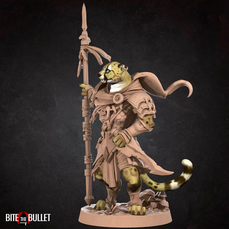 Tabaxi Ranger - Only-Games