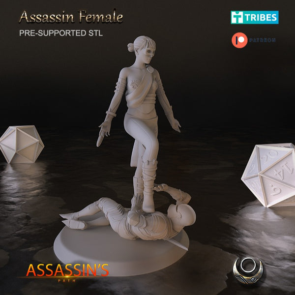 Assassin Female - Only-Games