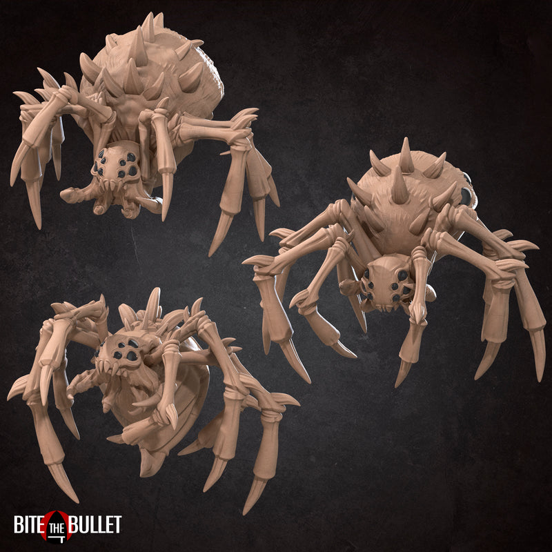 Spiders Pack - Only-Games