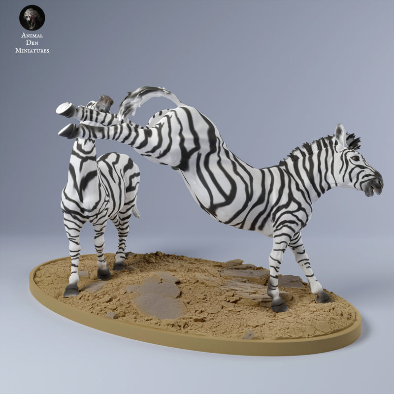 Plains Zebras Fighting 1/43 - Only-Games