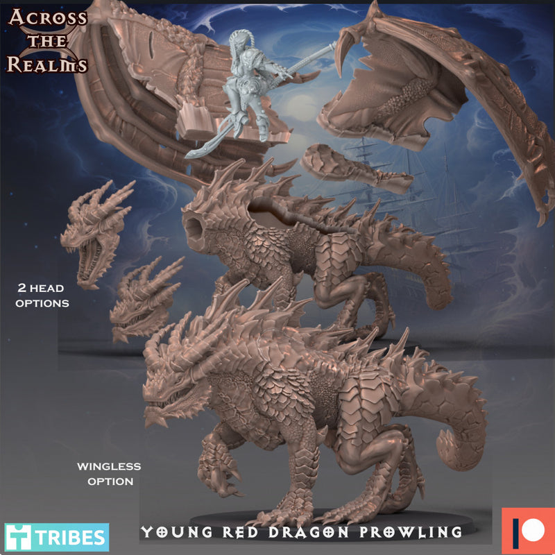 Young Red Dragon Prowling - Only-Games
