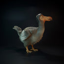 Dodo standing prehistoric bird 1/20 scale - Only-Games