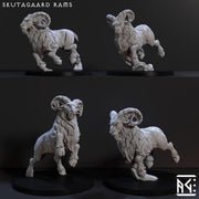 Dwarven Ram Riders (Dwarven Mountaineers of Skutagaard) - Only-Games