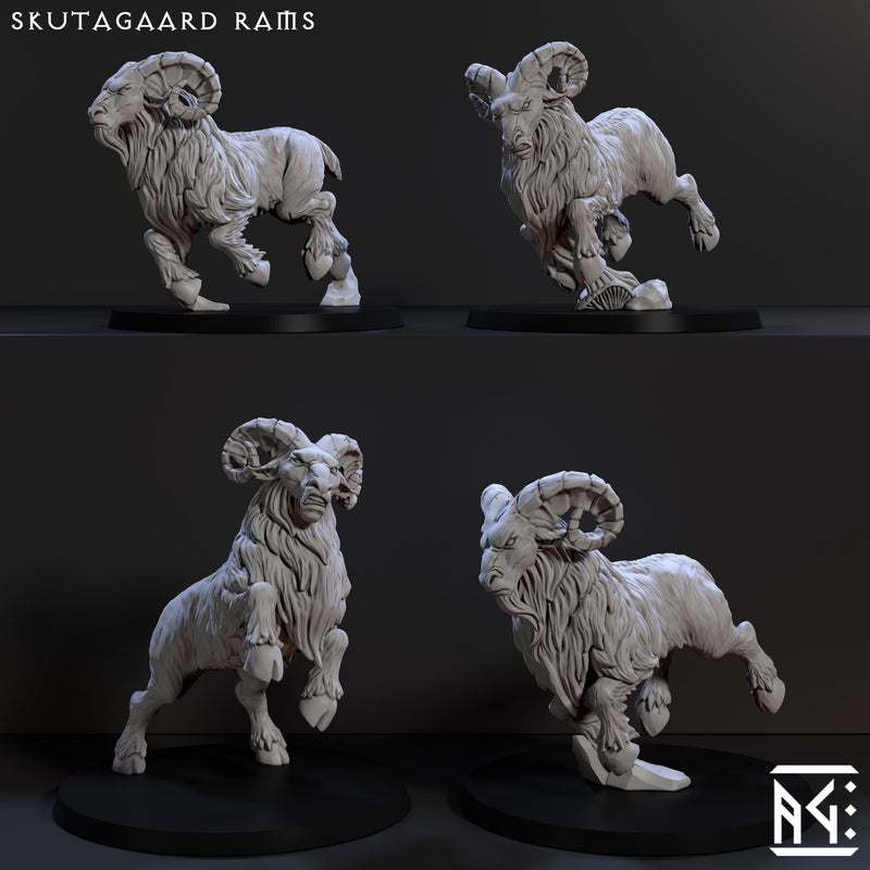 Dwarven Ram Riders (Dwarven Mountaineers of Skutagaard) - Only-Games