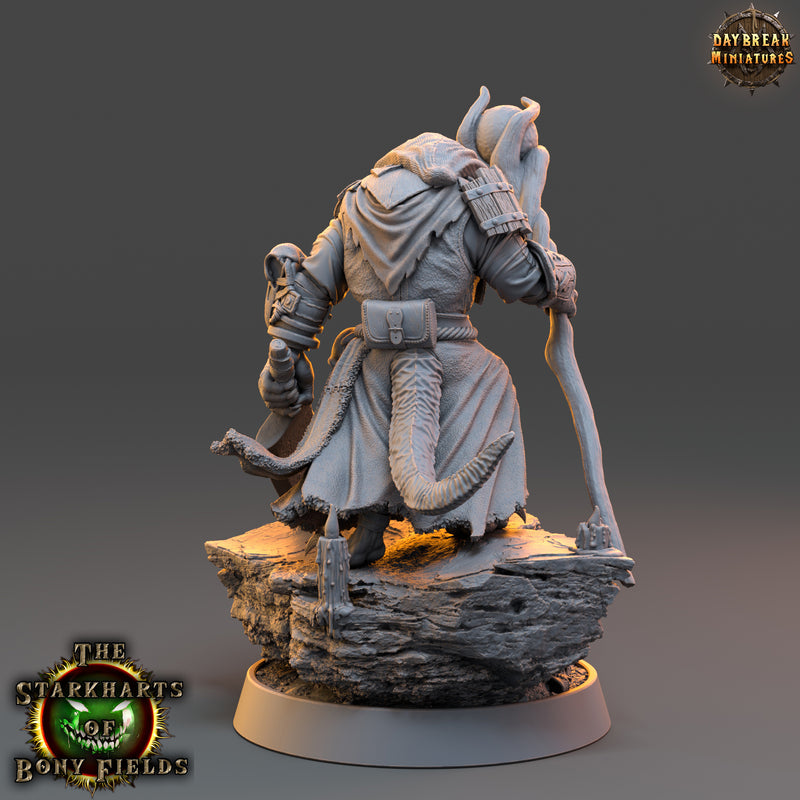 Shachzar Starkhart - The Starkharts of Bony Fields - Only-Games