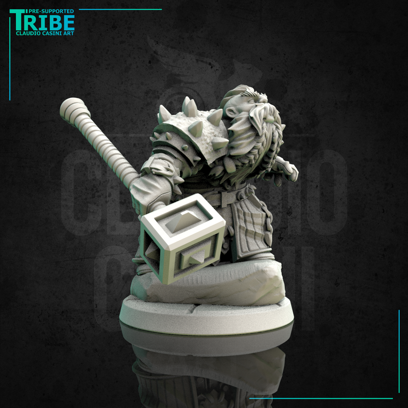 (0151) Male dwarf warrior viking with an armor and two hands hammer - Only-Games