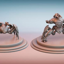 The Shattered. Basic Army. - Only-Games