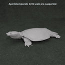 Apertotemporalis 1-35 scale prehistoric turtle - Only-Games