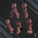 Nocturnal Bodies Set №1 x5 - Only-Games