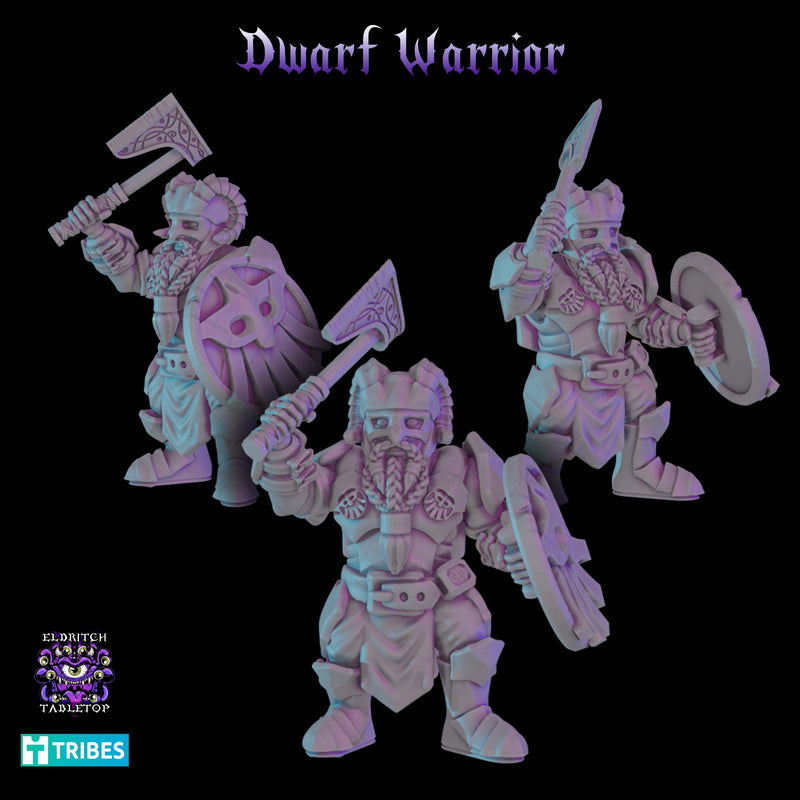 Dwarf Warrior - Only-Games