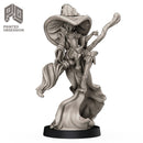 Witch Of RavenHold - Magic User - Only-Games