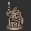 Olda, the Tortle Druid - Only-Games