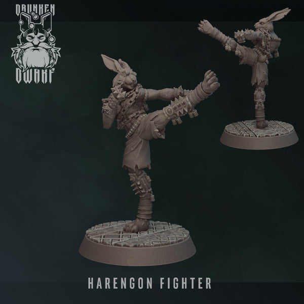 harengon fighter - Only-Games
