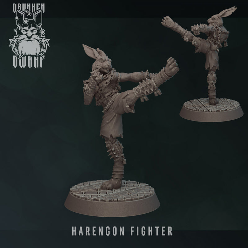 harengon fighter - Only-Games