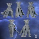 Nova Star Bodies Set