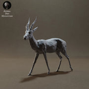 Thomson's Gazelle 1/20 - Only-Games