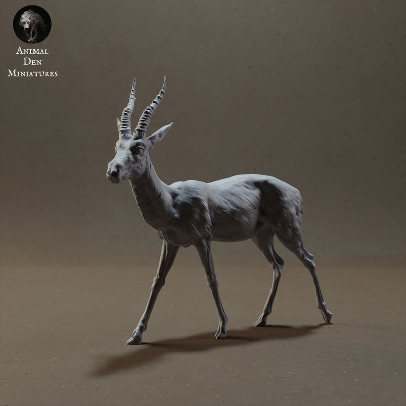 Thomson's Gazelle 1/20 - Only-Games