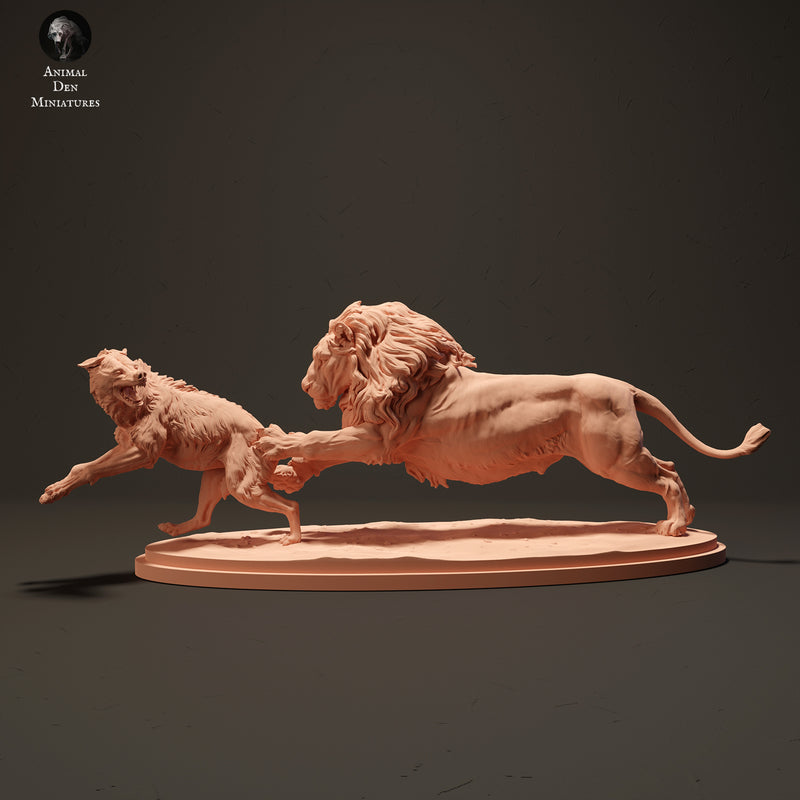 Lion Hunting a Spotted Hyena 1/20 - Only-Games