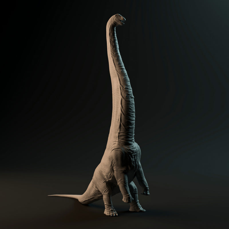 Dreadnoughtus rear up 1-72 scale dinosaur - Only-Games