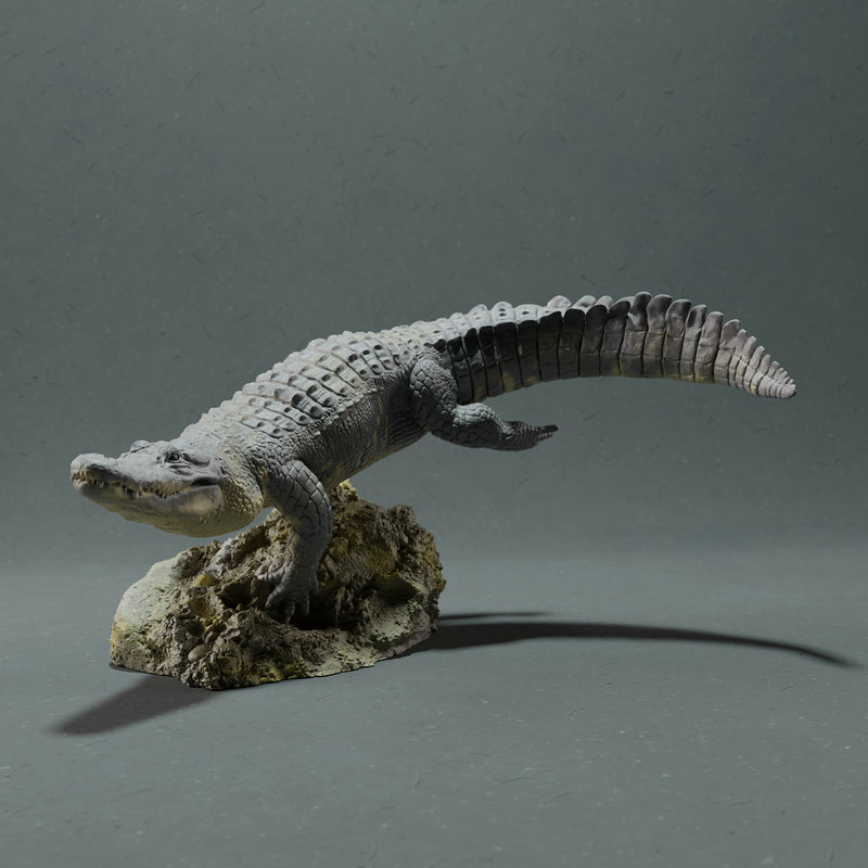 American Alligator - Swim - Only-Games