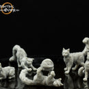 House Cats - 5 Poses - Only-Games