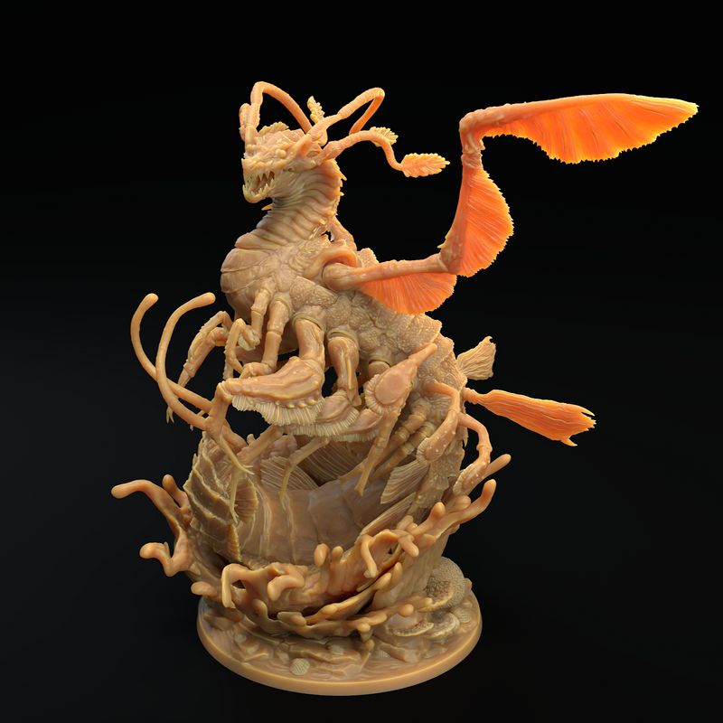 Dragon Shrimp - Only-Games