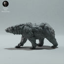 Polar Bear Walking - Only-Games