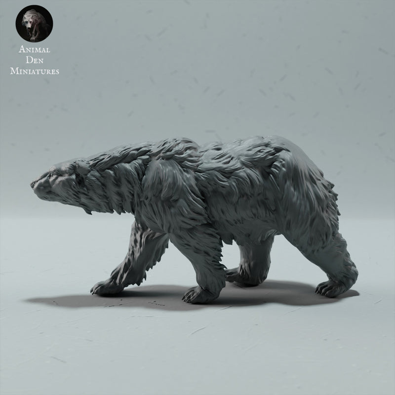 Polar Bear Walking - Only-Games