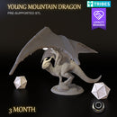 Young Mountain Dragon - Only-Games