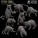 Giant Rat Bundle - TytanTroll Miniatures - DnD - Fantasy - Only-Games