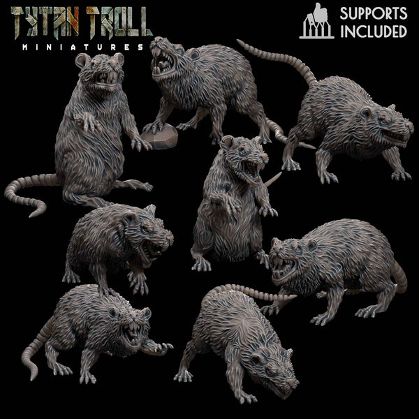 Giant Rat Bundle - TytanTroll Miniatures - DnD - Fantasy - Only-Games