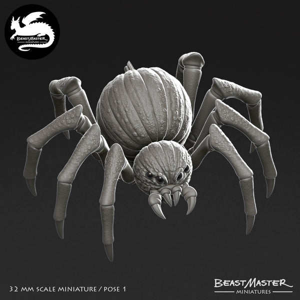 Pumpkin Spider 1 - Only-Games