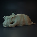 Triceratops baby sleeping dinosaur - Only-Games