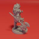 Takeda Shingen and Byakko - Only-Games