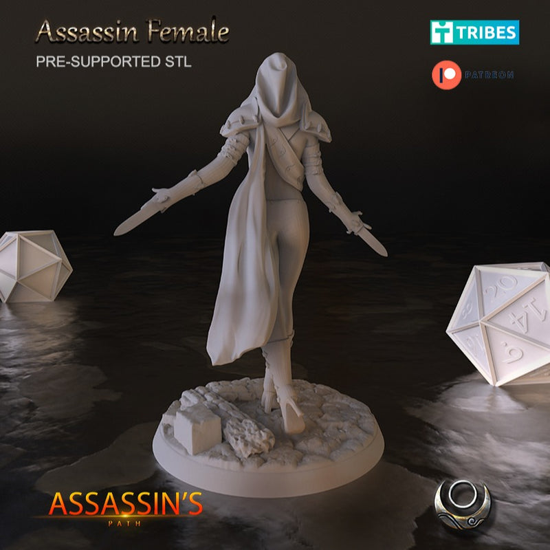 Assassin Female - Only-Games