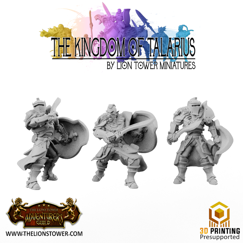 Kingsguard Shield Guard (12 x 32mm scale minis) - Only-Games