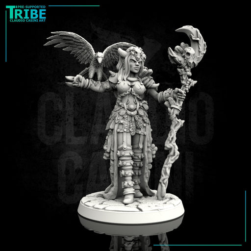(0028) Female human elf half orc tiefling sorceress with rapacious - Only-Games