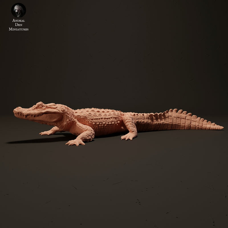 Black Caiman Sunbathing 1/18 - Only-Games