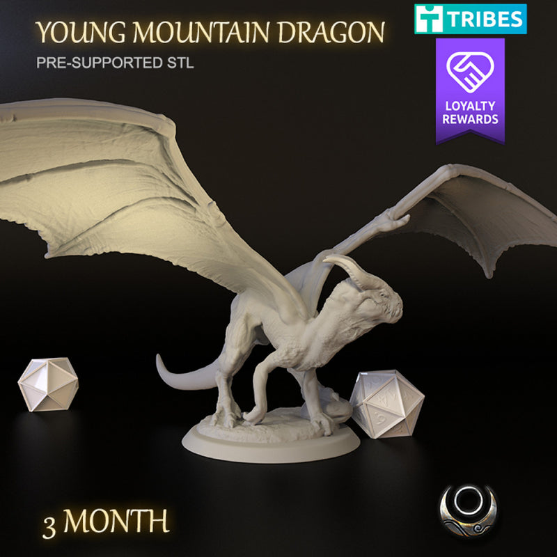 Young Mountain Dragon - Only-Games