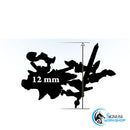 Remains on the Battlefield - Only-Games