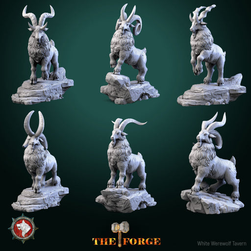 Dwarven Goats set 6 miniatures 32mm pre-supported - Only-Games