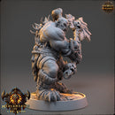 Lokomotiv Zwingli - Mercenaries of the Void - Only-Games