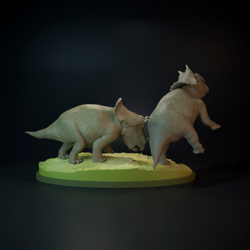 Triceratops babies playing - Only-Games