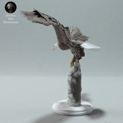Bald Eagle - Only-Games
